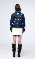 Stardust-14833 kopia.jpg