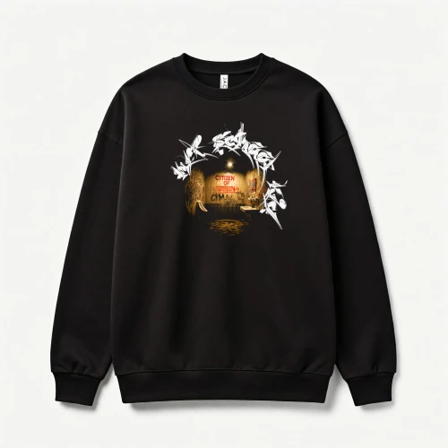 sweatshirt  kopiaRE.jpg